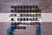 网站流量重查询系统，助力企业精准把握用户行为，提升网站运营效果，流量重查询系统，企业提升网站运营效率的精准利器