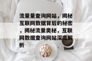 流量量查询网站，揭秘互联网数据背后的秘密，揭秘流量奥秘，互联网数据查询网站深度解析