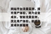 网站平台流量监测，提升用户体验，助力企业成长，智能流量监测，优化用户体验，驱动企业成长新篇章