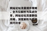 网站论坛流量提升策略，全方位解析与实战分享，网站论坛流量翻倍攻略，深度解析与实战技巧分享