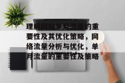 理解网站单月流量的重要性及其优化策略，网络流量分析与优化，单月流量的重要性及策略
