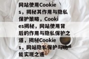 网站使用Cookies，揭秘其作用与隐私保护策略，Cookies揭秘，网站使用背后的作用与隐私保护之道，揭秘Cookies，网站隐私保护与功能实现之道