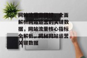 网站流量类指标，全面解析网站运营的关键数据，网站流量核心指标全解析，揭秘网站运营关键数据