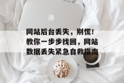 网站后台丢失，别慌！教你一步步找回，网站数据丢失紧急自救指南