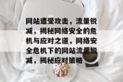 网站遭受攻击，流量锐减，揭秘网络安全的危机与应对之道，网络安全危机下的网站流量锐减，揭秘应对策略