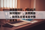 消费降级后,我们应该如何赚钱?,消费降级,如何从日常支出中赚取更多 消费降级后,我们应该如何赚钱?,消费降级,如何从日常支出中赚取更多