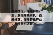 西藏林芝，探寻特色产业，发现赚钱商机，西藏林芝，探寻特色产业，发现商机之路
