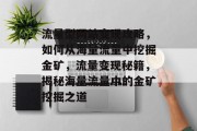 流量型网站变现攻略，如何从海量流量中挖掘金矿，流量变现秘籍，揭秘海量流量中的金矿挖掘之道