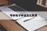 专利电子申请怎么缴费