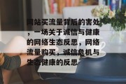 网站买流量背后的害处，一场关于诚信与健康的网络生态反思，网络流量购买，诚信危机与生态健康的反思