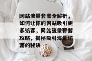 网站流量套餐全解析，如何让你的网站吸引更多访客，网站流量套餐攻略，揭秘吸引海量访客的秘诀