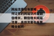 网站流量引导策略，如何让你的网站访问量翻倍增长，翻倍增长网站流量，高效流量引导策略全解析
