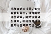 揭秘网站日流量，如何查看与分析，提升网站运营效果，网站流量分析攻略，揭秘提升日流量与运营效果之道