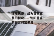 沈阳头条,成为百万富翁的秘诀!,沈阳首富的秘密财富来源 沈阳头条,成为百万富翁的秘诀!,沈阳首富的秘密财富来源