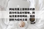 网站流量上涨背后的原因分析及应对策略，网站流量激增揭秘，原因剖析与应对之道