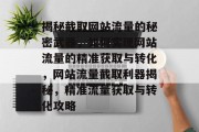 揭秘截取网站流量的秘密武器，如何实现网站流量的精准获取与转化，网站流量截取利器揭秘，精准流量获取与转化攻略