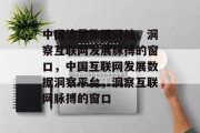 中国流量数据网站，洞察互联网发展脉搏的窗口，中国互联网发展数据洞察平台，洞察互联网脉搏的窗口