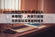 内贸行业如何通过什么来赚钱?,内贸行业如何转型以实现盈利增长?