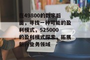 在49800的数字后面,寻找一种可能的盈利模式,525000的盈利模式探索,拓展新兴业务领域 在49800的数字后面,寻找一种可能的盈利模式,525000的盈利模式探索,拓展新兴业务领域