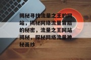 揭秘寻找流量之王的网站，揭秘网络流量背后的秘密，流量之王网站揭秘，探秘网络流量神秘面纱