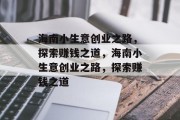 海南小生意创业之路，探索赚钱之道，海南小生意创业之路，探索赚钱之道