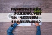 揭秘购物网站流量来源，多元化策略助力电商增长，电商流量揭秘，多元化策略驱动增长之路