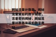 网站流量计数器，揭秘流量背后的数字秘密，流量密码揭秘，网站流量计数器背后的数字奥秘