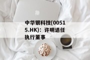 中华银科技(00515.HK)：许明退任执行董事