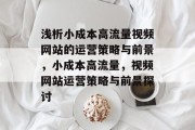 浅析小成本高流量视频网站的运营策略与前景,小成本高流量,视频网站运营策略与前景探讨 浅析小成本高流量视频网站的运营策略与前景,小成本高流量,视频网站运营策略与前景探讨