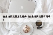 自主访问流量怎么提升（自主访问流量有用吗）