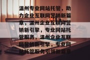 温州专业网站托管，助力企业互联网营销新篇章，温州企业互联网营销新引擎，专业网站托管服务，温州企业互联网营销新引擎，专业网站托管服务引领新篇章