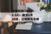 中英科技(300936.SZ):截至6月20日,公司股东总数为15290户 中英科技(300936.SZ):截至6月20日,公司股东总数为15290户