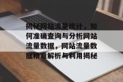 揭秘网站流量统计，如何准确查询与分析网站流量数据，网站流量数据精准解析与利用揭秘