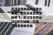武汉企业网站排名优化策略，助力企业在线营销腾飞，武汉企业网站SEO优化秘籍，打造在线营销新高度