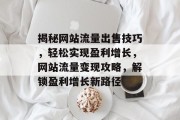 揭秘网站流量出售技巧，轻松实现盈利增长，网站流量变现攻略，解锁盈利增长新路径