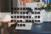 快速涨流量网站，揭秘高效引流策略，助你网站流量翻倍增长，流量翻倍秘籍，揭秘高效网站引流策略