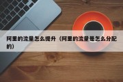 阿里的流量怎么提升（阿里的流量是怎么分配的）