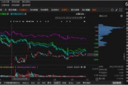 ST南卫资金占用已被处罚,符合条件的投资者务必关注! ST南卫资金占用已被处罚,符合条件的投资者务必关注!