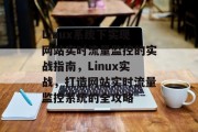 Linux系统下实现网站实时流量监控的实战指南，Linux实战，打造网站实时流量监控系统的全攻略