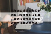 揭秘网站流量大却盈利困难的原因及解决方案，网站流量爆棚却盈利难解之谜及破局之道