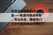 从苏北看赚钱的热门行业——机遇与挑战并存,苏北热选,赚钱热门行业机会与挑战并存 从苏北看赚钱的热门行业——机遇与挑战并存,苏北热选,赚钱热门行业机会与挑战并存