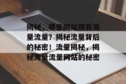 揭秘，哪些网站拥有海量流量？揭秘流量背后的秘密！流量揭秘，揭秘海量流量网站的秘密
