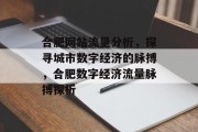合肥网站流量分析，探寻城市数字经济的脉搏，合肥数字经济流量脉搏探析