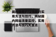 国内查看网站流量的实用方法与技巧，揭秘国内网站流量监控，实用方法与技巧大盘点