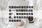 挖掘榆林的潜在投资项目——如何赚取投资收益?,推动榆林经济发展,探寻潜在投资机会及收益模式 挖掘榆林的潜在投资项目——如何赚取投资收益?,推动榆林经济发展,探寻潜在投资机会及收益模式