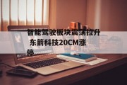 智能驾驶板块震荡拉升 东箭科技20CM涨停 智能驾驶板块震荡拉升 东箭科技20CM涨停