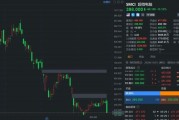 超微电脑大跌超13% 再次触发临时停牌 超微电脑大跌超13% 再次触发临时停牌