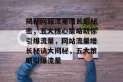 揭秘网站流量增长的秘密，五大核心策略助你引爆流量，网站流量增长秘诀大揭秘，五大策略引爆流量