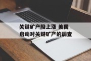 关键矿产股上涨 美国启动对关键矿产的调查