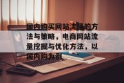 国内购买网站流量的方法与策略，电商网站流量挖掘与优化方法，以国内购为例
